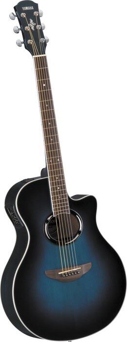 APX500