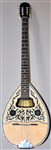 TZONO1